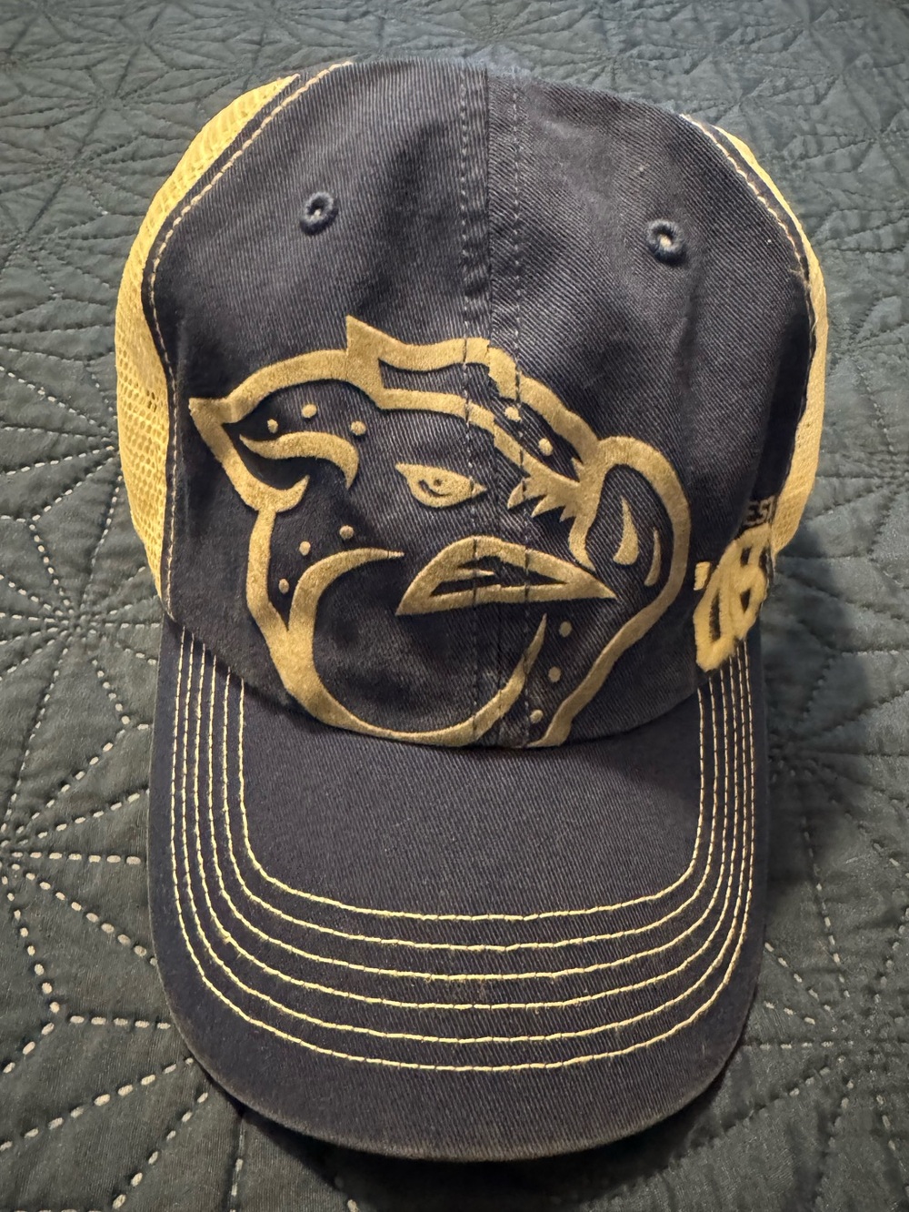 Vintage Iron pigs trucker hat